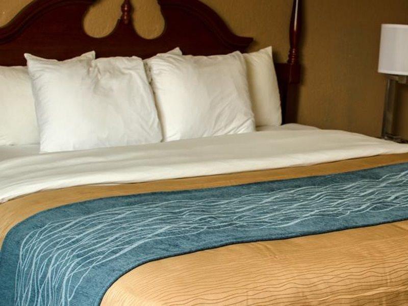 Comfort Inn Atlanta Downtown South Zewnętrze zdjęcie