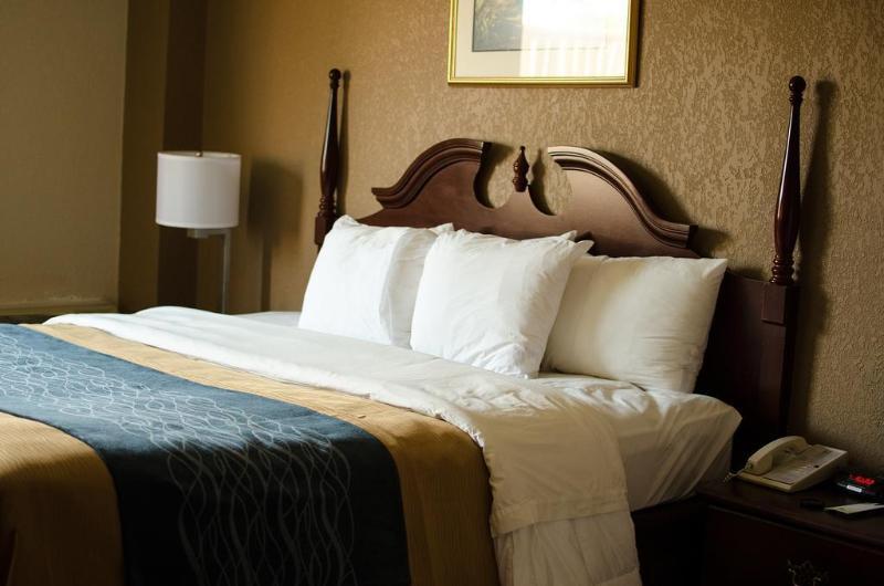 Comfort Inn Atlanta Downtown South Zewnętrze zdjęcie