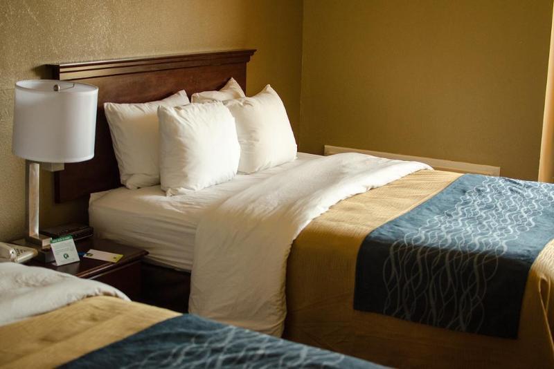 Comfort Inn Atlanta Downtown South Zewnętrze zdjęcie